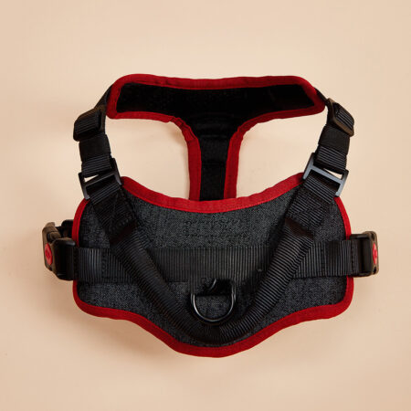 No pull dog harness